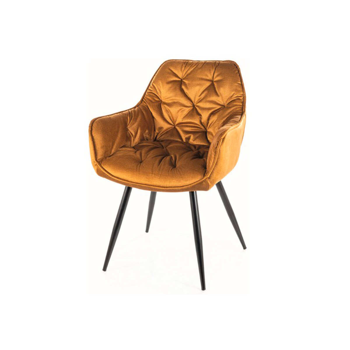 Židle Cherry Monolith kari 48, matná černá kov
Židle Cherry Monolith kari 48, matná černá kov