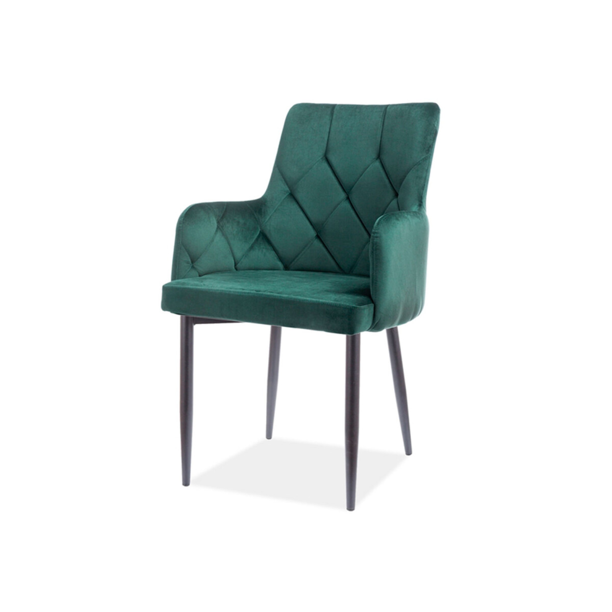 Židle Ricardo Velvet zelený Bluvel 78, kov černá matná
Židle Ricardo Velvet zelený Bluvel 78, kov černá matná