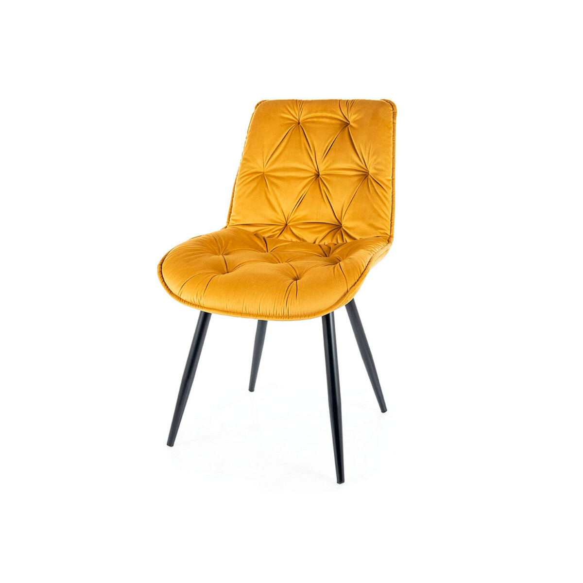 Židle Cherry II Velvet kari Bluvel 68, matná černá kov
Židle Cherry II Velvet kari Bluvel 68, matná černá kov