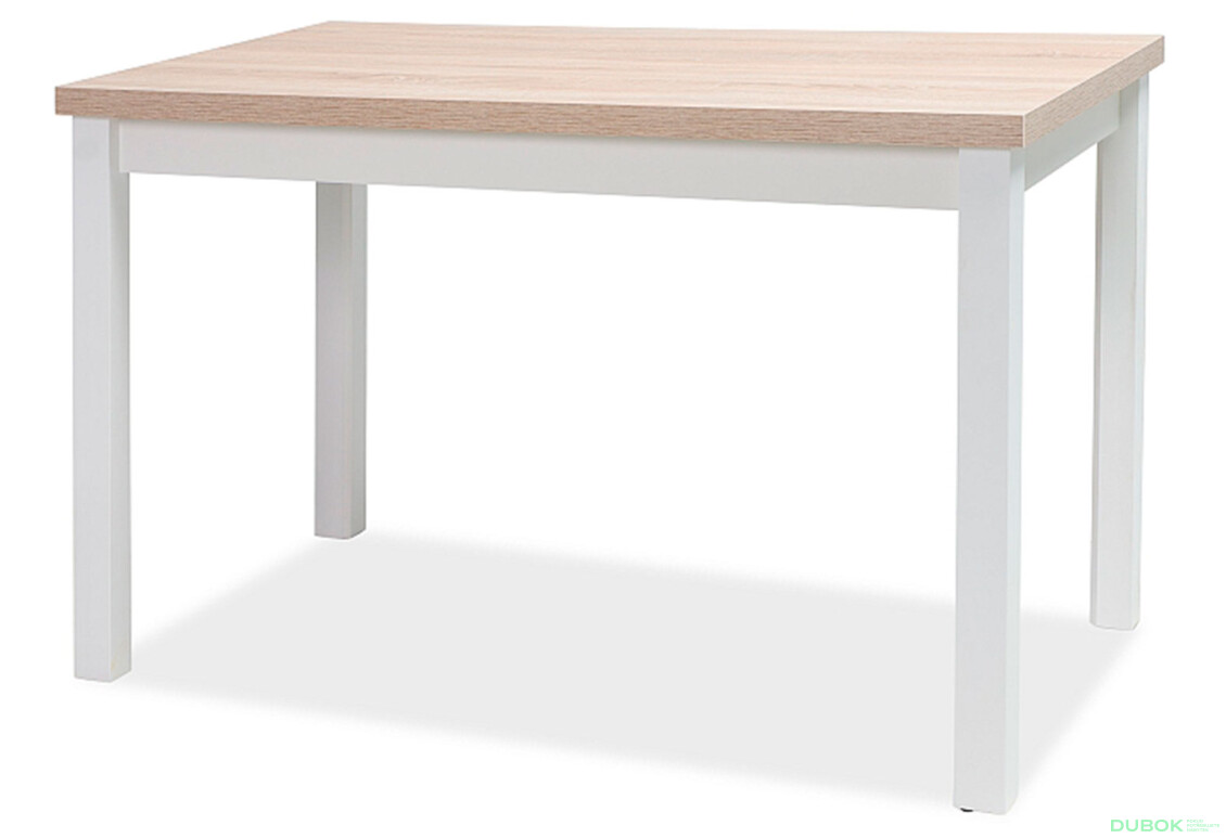 Stůl Adam 100x60 dub sonoma / bílý mat