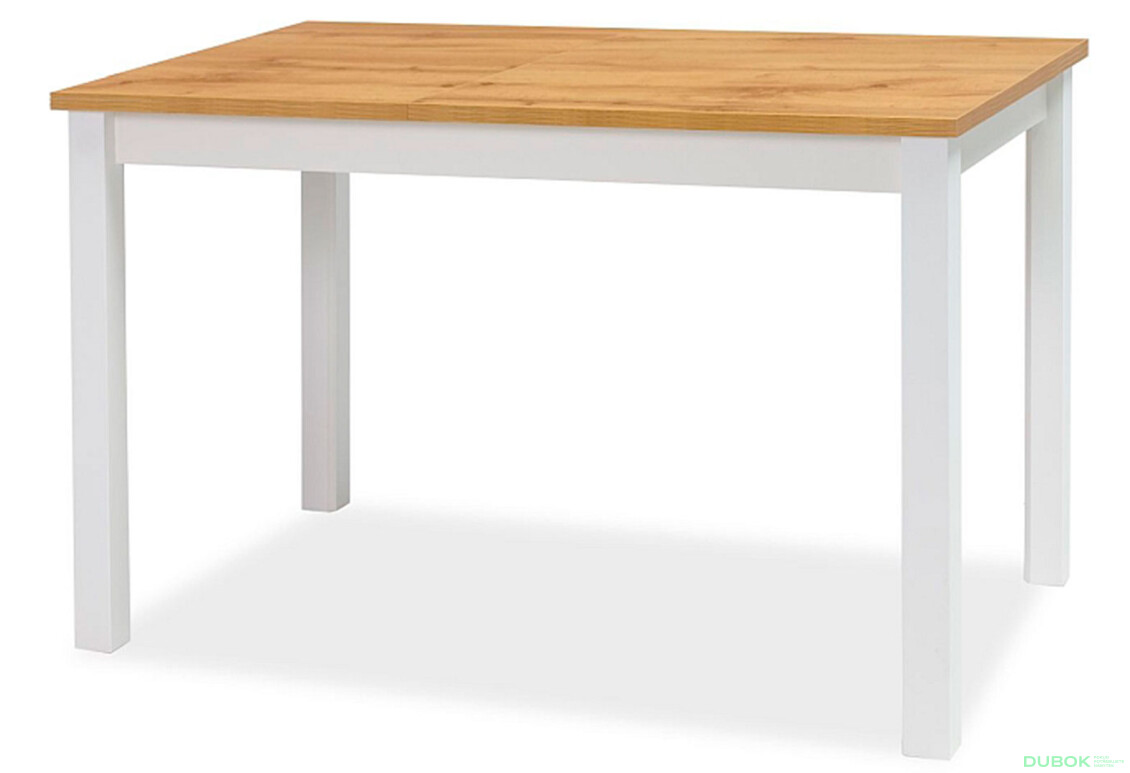 Stůl Adam 100x60 dub wotan / bílý mat