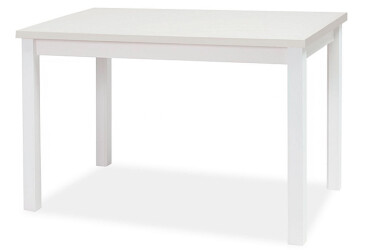 Stůl Adam 100x60 bílý mat