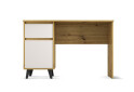 Fotografie 2 - Psací stůl BORG 1d1s/120 dub artisan / kašmír