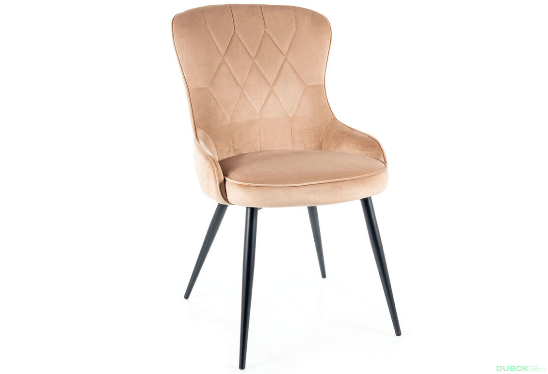 Fotografie 2 - Židle Lotus Velvet béžový Bluvel 28, kov černá matná