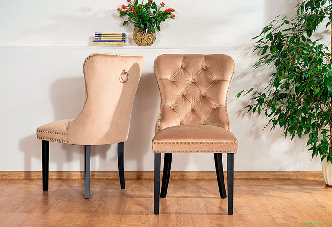 Fotografie 6 - Židle August Velvet béžový Bluvel 28, dřevo, černý