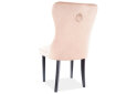 Fotografie 2 - Židle August Velvet béžový Bluvel 28, dřevo, černý