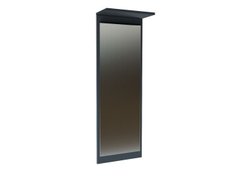 Zrcadlo Stephanie 40x115 cm Antracit