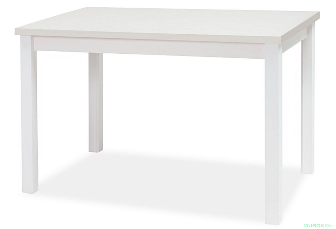 Stůl Adam 100x60 bílý mat