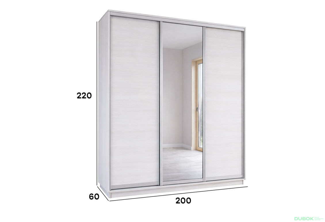 Fotografie 3 - Skříň s posuvnými dveřmi 2200x2000x600 2LTD 1 Zrcadlo Nymphea Alba, profil stříbrný