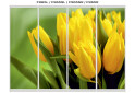 Fotografie 46 - Fasáda F-680 Fototisk WT Rim-Veneziano 4D 2,7 m