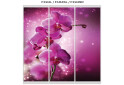 Fotografie 25 - Fasáda F-590 Fototisk WT Rim-Veneziano 4D 2,4 m