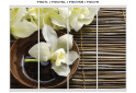 Fotografie 45 - Fasáda F-670 Fototisk WT Rim-Veneziano 3D 2,0 m
