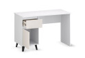 Fotografie 6 - Psací stůl BORG 1d1s/120 bílý / kašmír