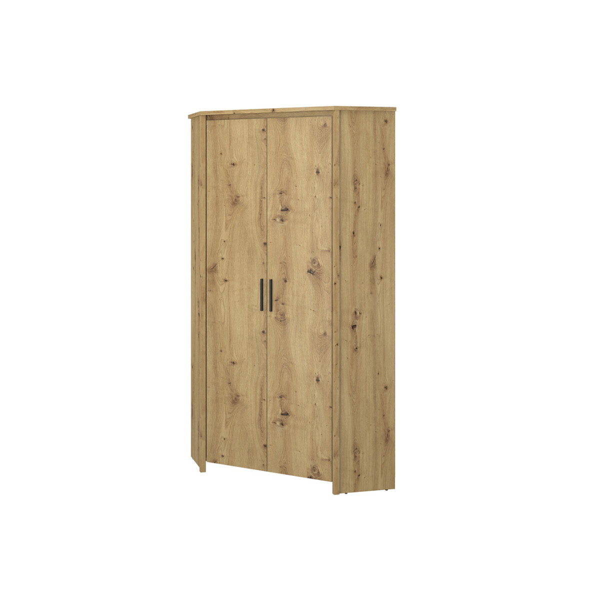 

Rohová skříň dvoudveřová Ayson 97x210x97 cm Dub artisan